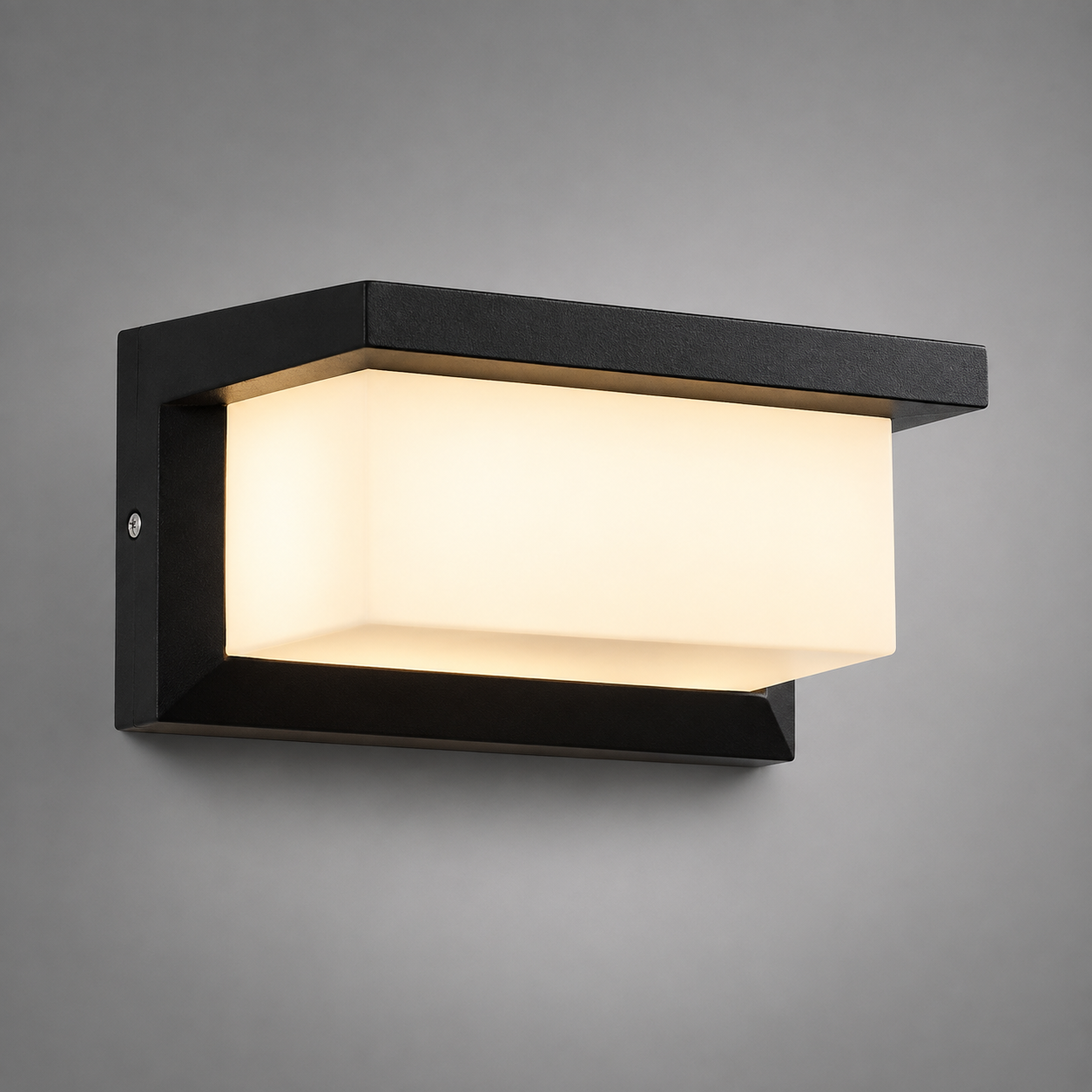 Outdoor LED wall light detail